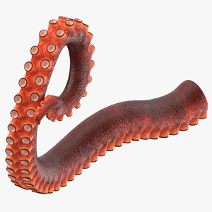 octopus tentacle 03 3d max