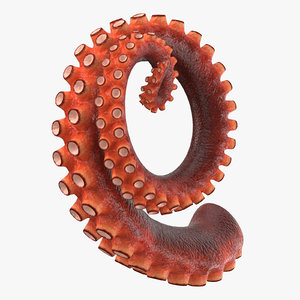 3d max octopus tentacle 04