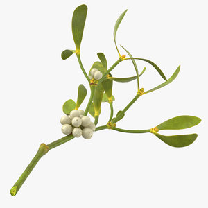 3d model mistletoe sprig