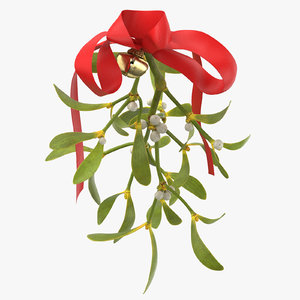 ma mistletoe ribbon