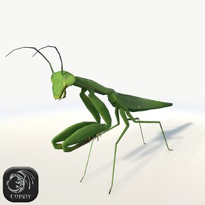 realistic mantis praying max