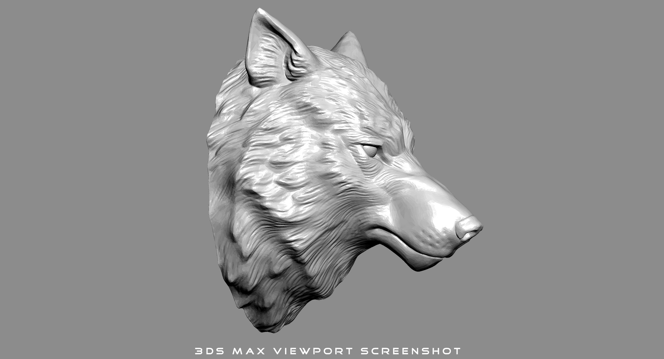 狼头雕塑平静3D模型 - TurboSquid 932973