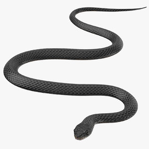 obj black snake 01