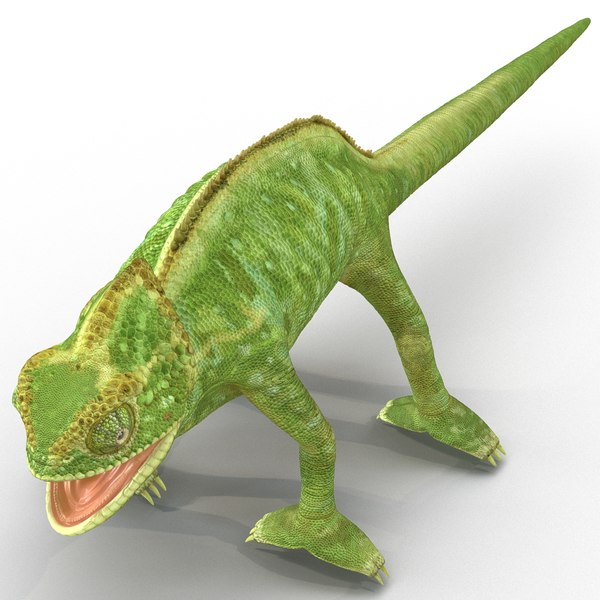 3d model chameleon rigged
