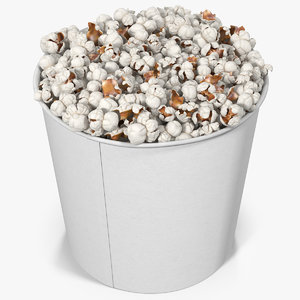 3d model popcorn cup 5