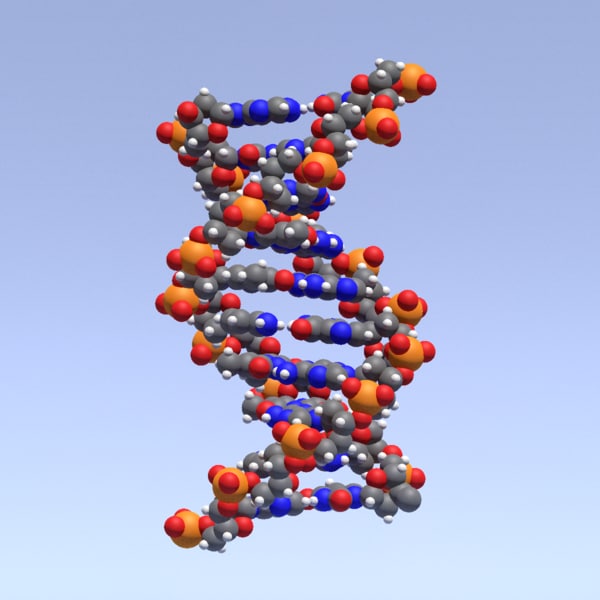 DNA19.pngB35CA00C-B4B5-4C30-AB06-6D46B65