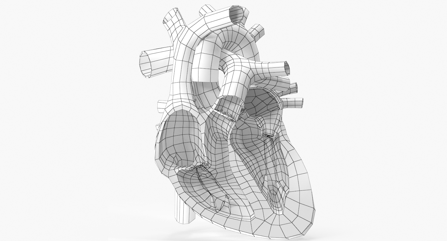 心脏切角3d模型