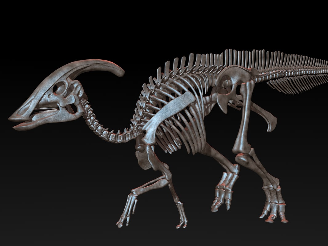 3d skeleton dinosaur