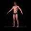 male scan dan body human 3d model