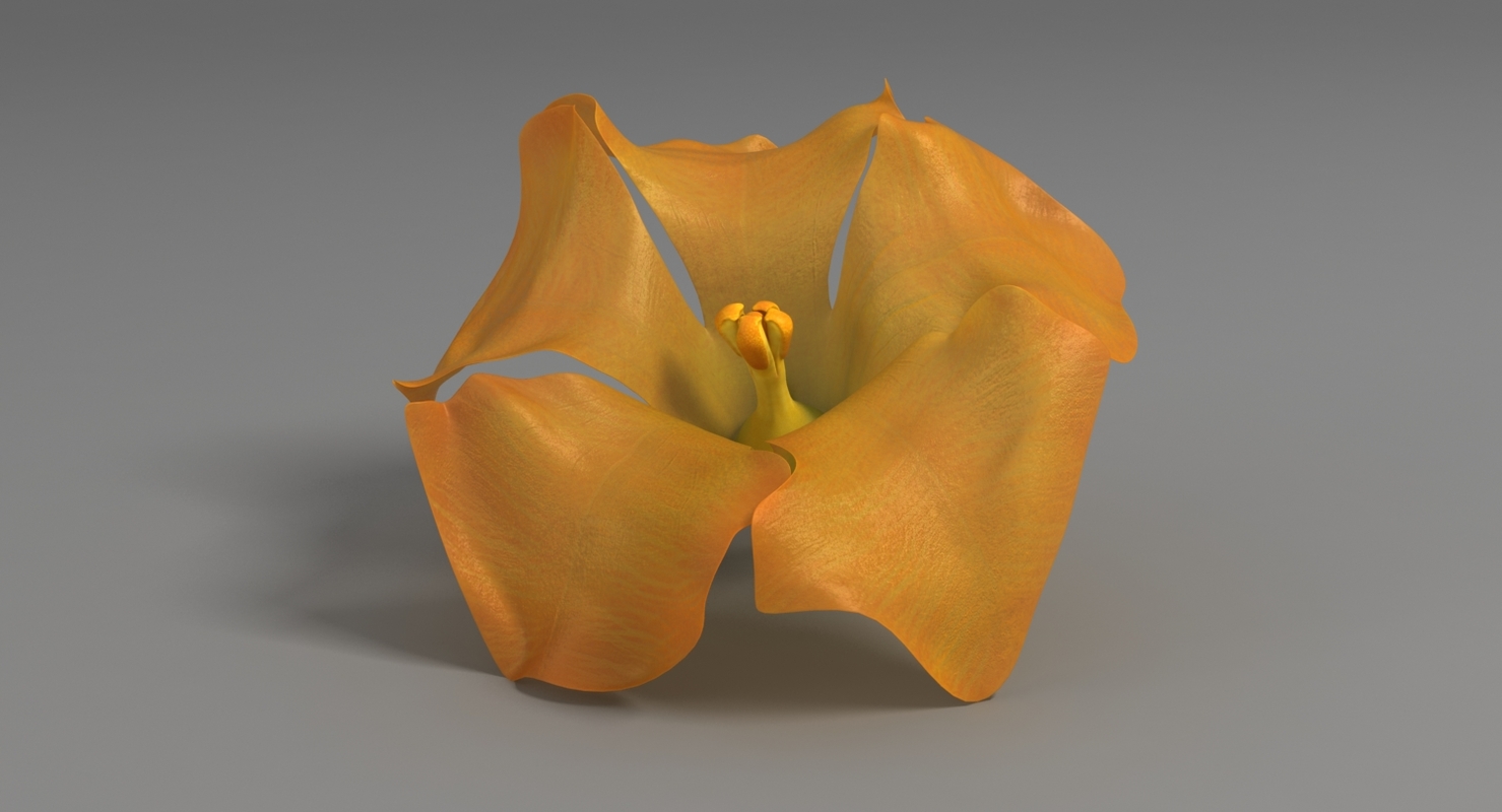 3d flower model zbrush