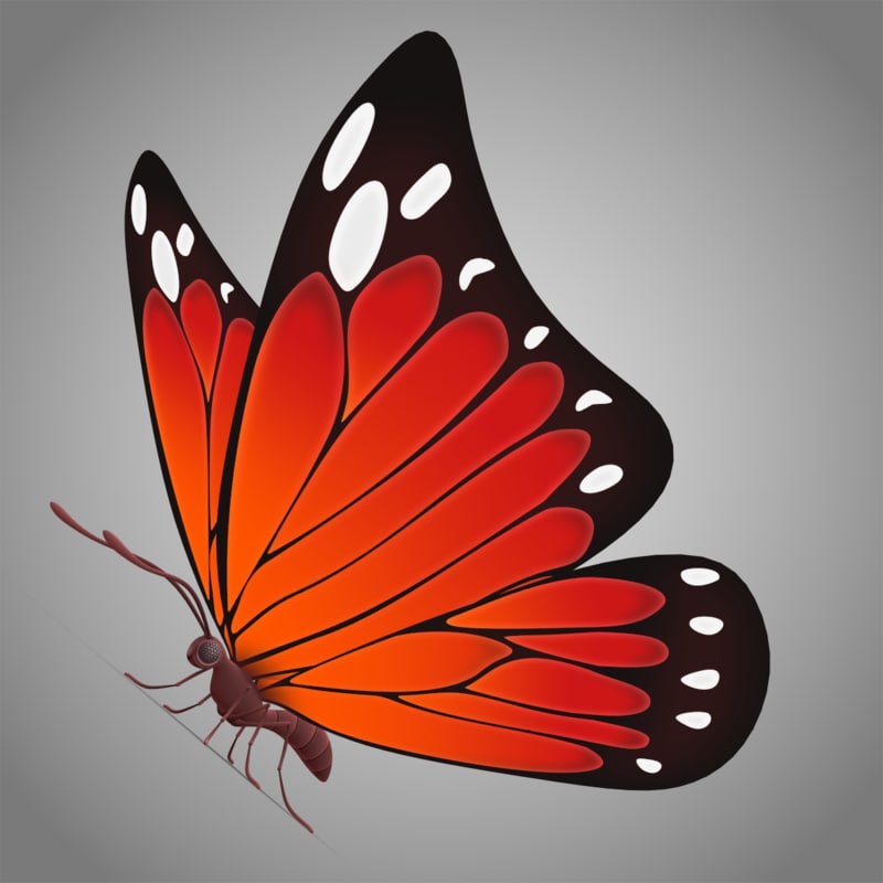 beautiful butterfly cartoon 3d max