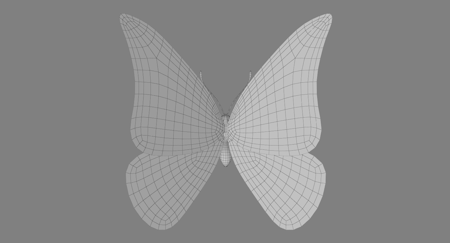 蝴蝶和完全可定制的纹理3d模型