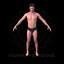 male scan dan body human 3d model