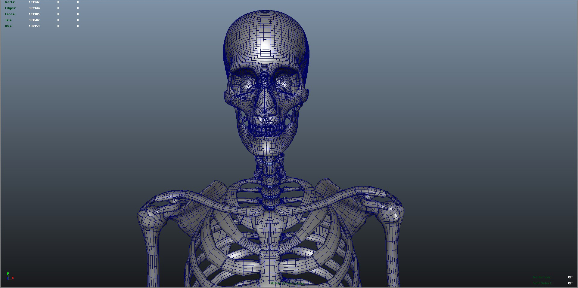 3d Human Skeleton Model