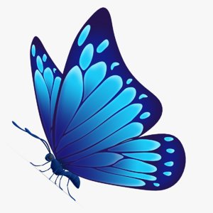 3d beautiful butterfly cartoon model