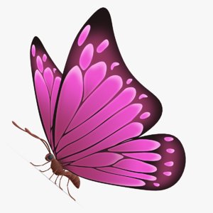 beautiful butterfly cartoon obj