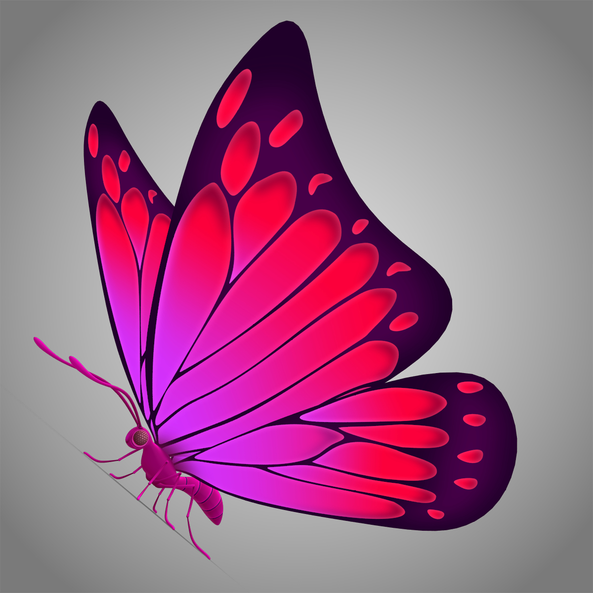 beautiful butterfly cartoon 3d max