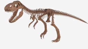 3d model t-rex skeleton