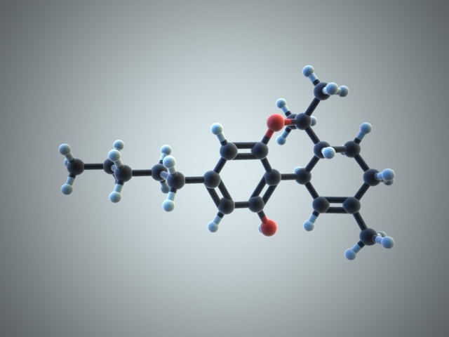 氨基酸3d模型