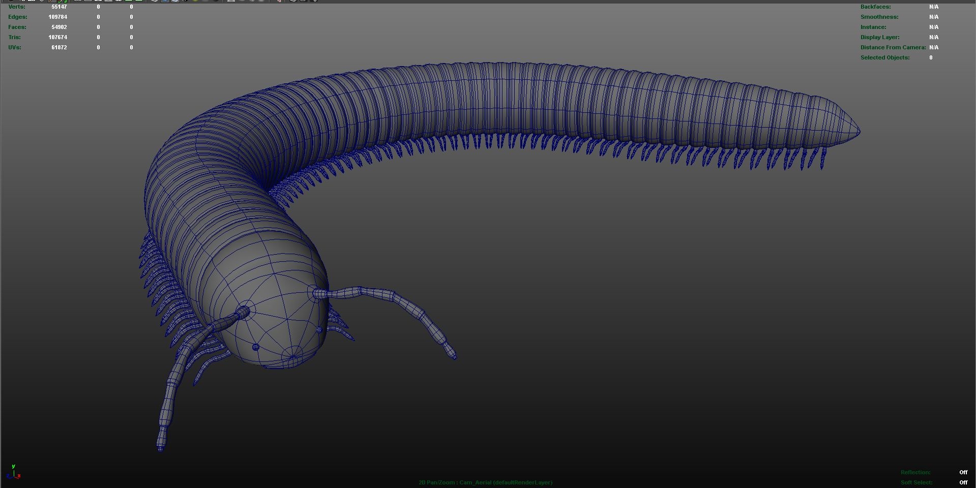 julus genus family obj