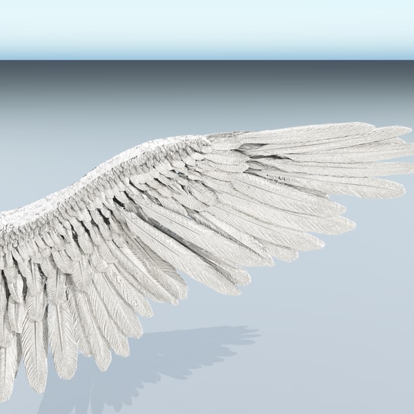 angel wings 3d render angel wings 3d render