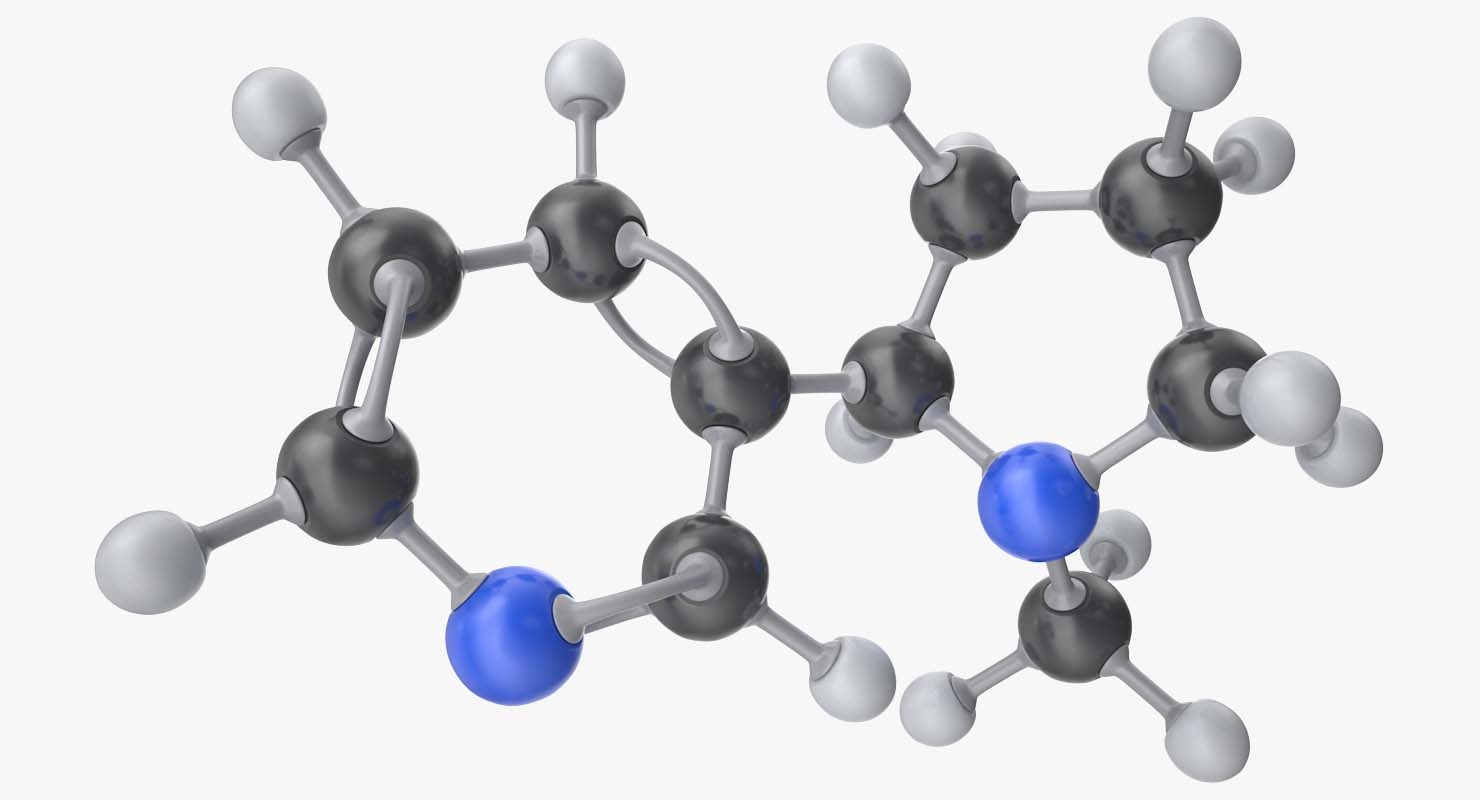 nicotine molecule 3d model
