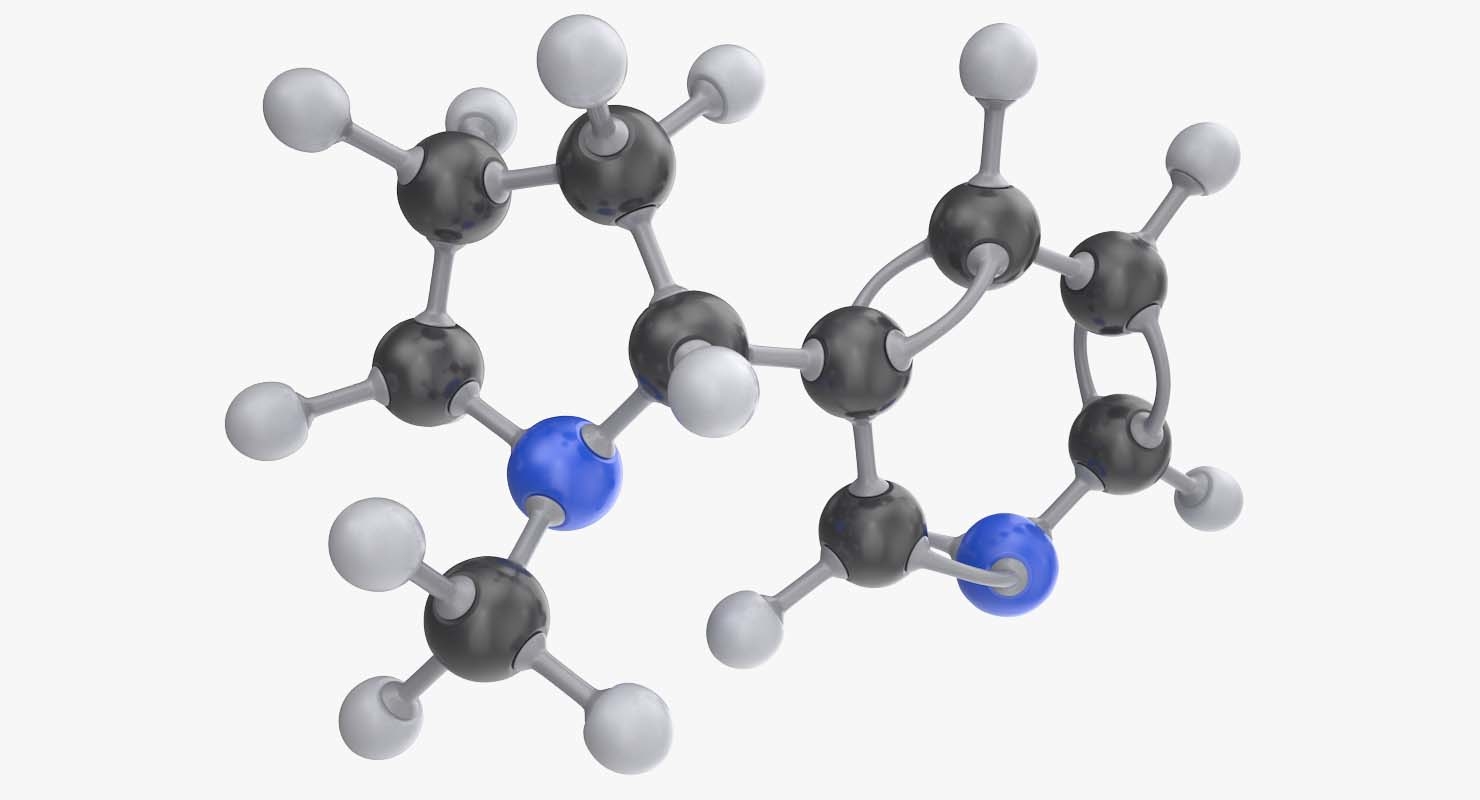 尼古丁分子3d模型