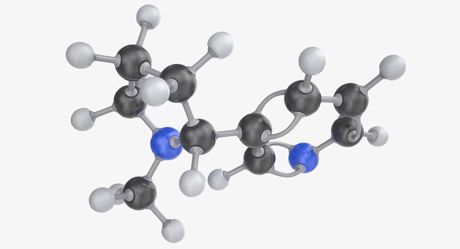 尼古丁分子3d模型