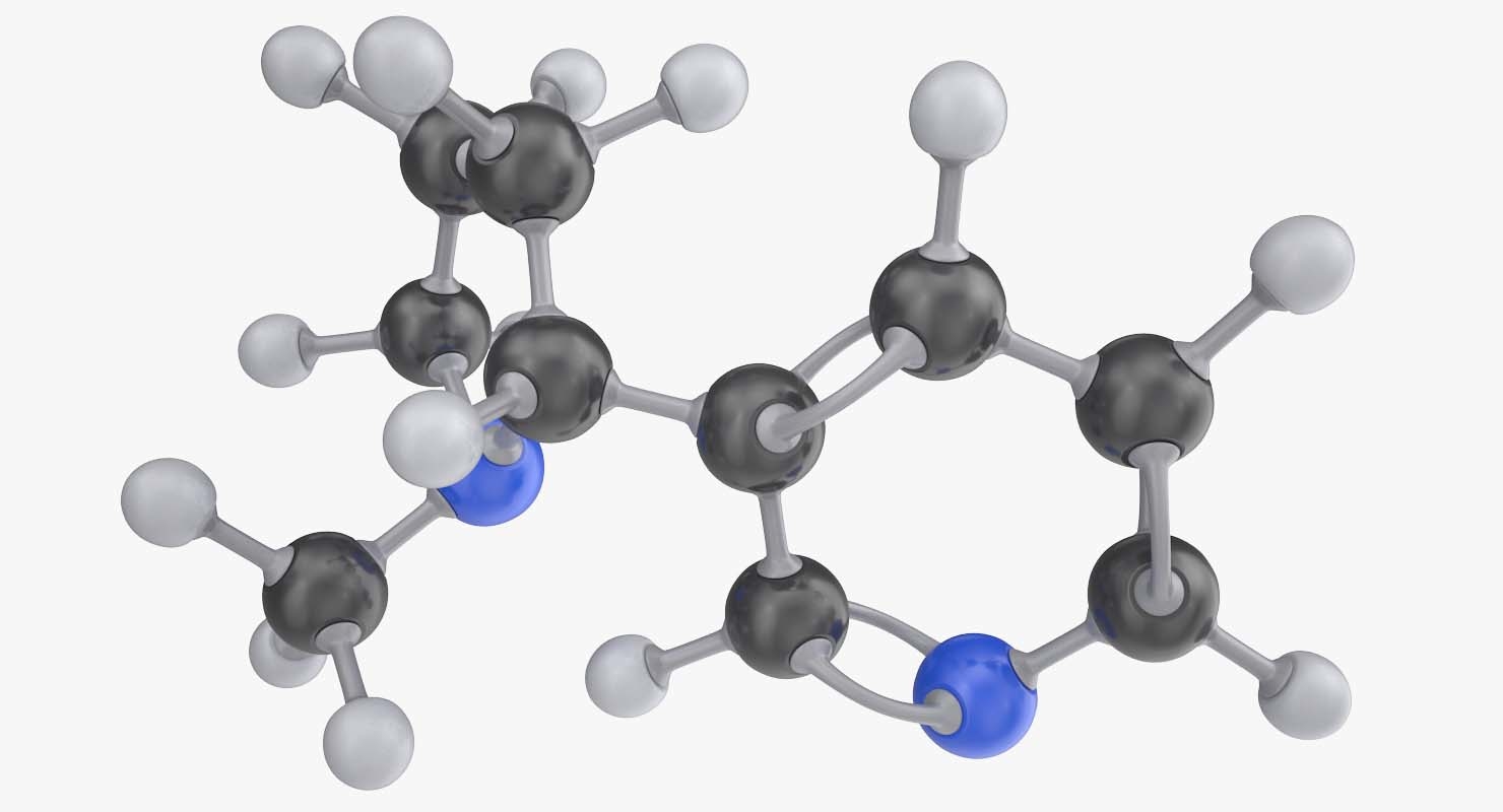 nicotine molecule 3d model
