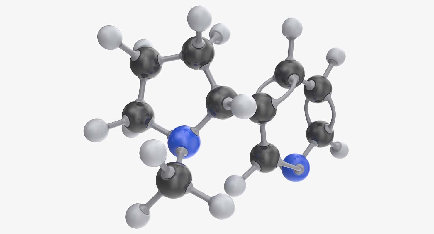 尼古丁分子3d模型