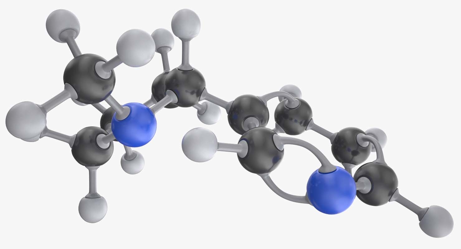 尼古丁分子3d模型