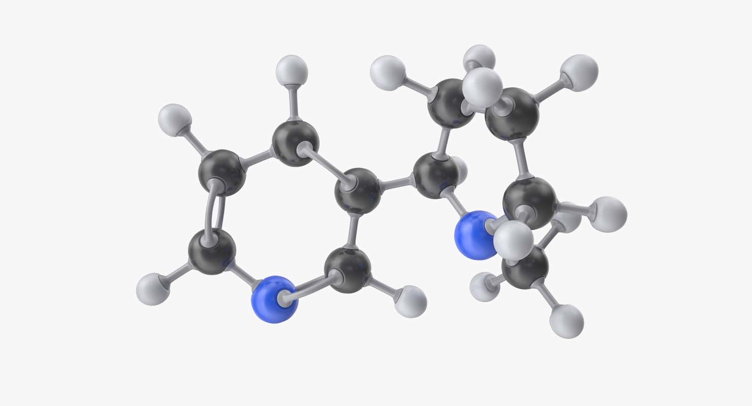 尼古丁分子3d模型