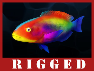 fbx fish rigged