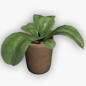 3d plants pots model