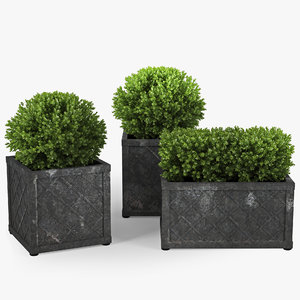 3d bushes pot model