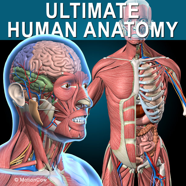 0_Ultimate_Human_Anatomy.jpg80583E67-72B