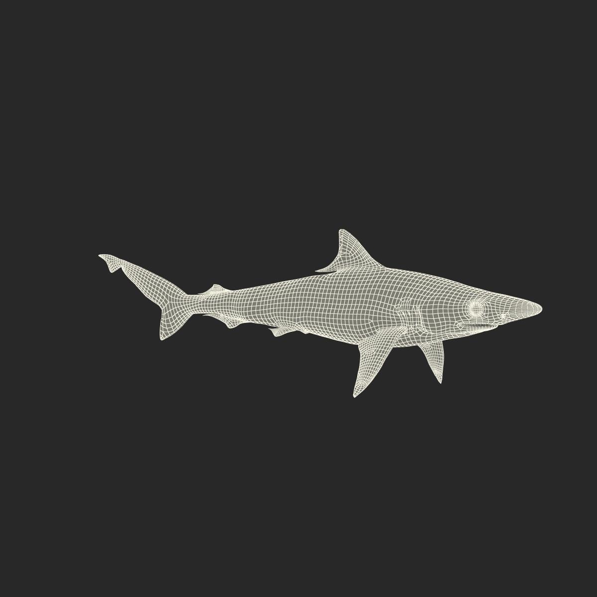 milk shark rigged 3d model