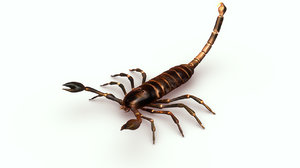 scorpion 3d obj