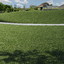 lawn grass 2 3d model