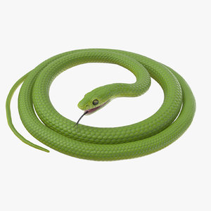 green snake rigged 3d c4d