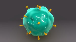 3d cell presenting antigen model