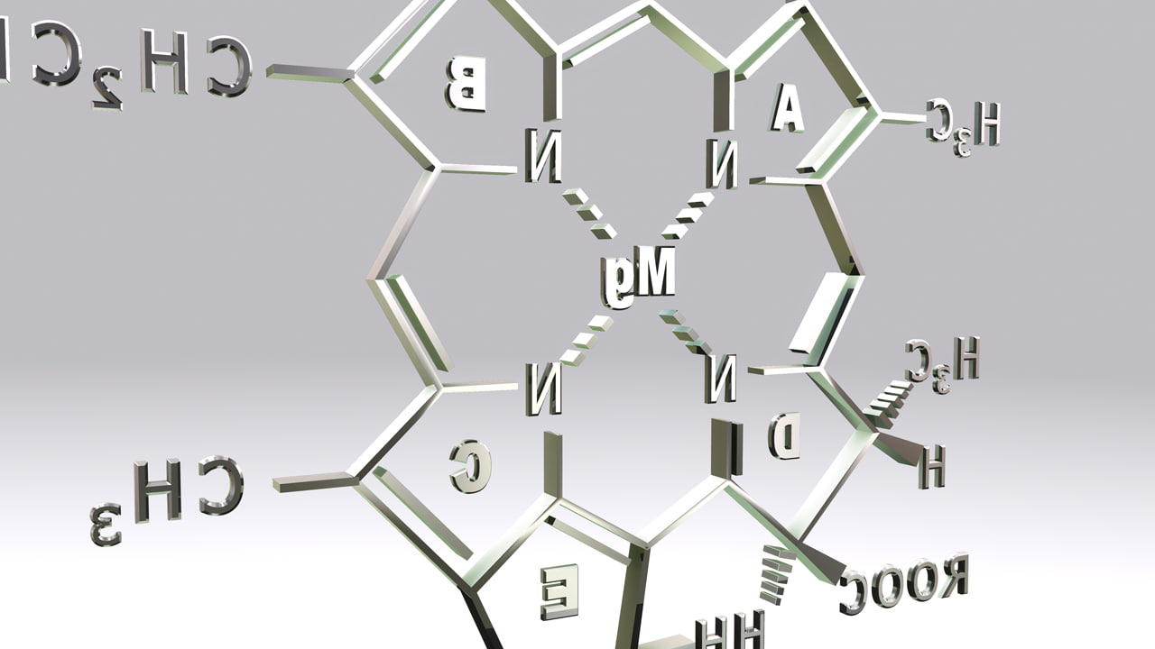 3d model of chlorophyll d structure