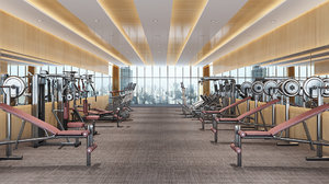 realistic gym 3d max