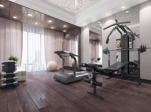 realistic gym private 3d max