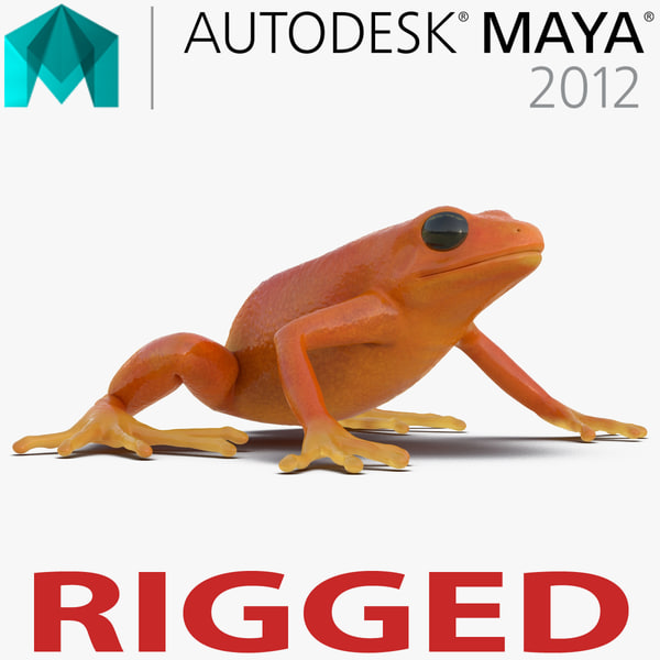 mantella frog rigged 3d model