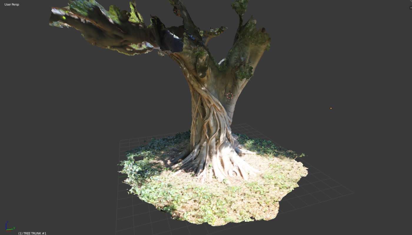 3d model of tree trunk 1