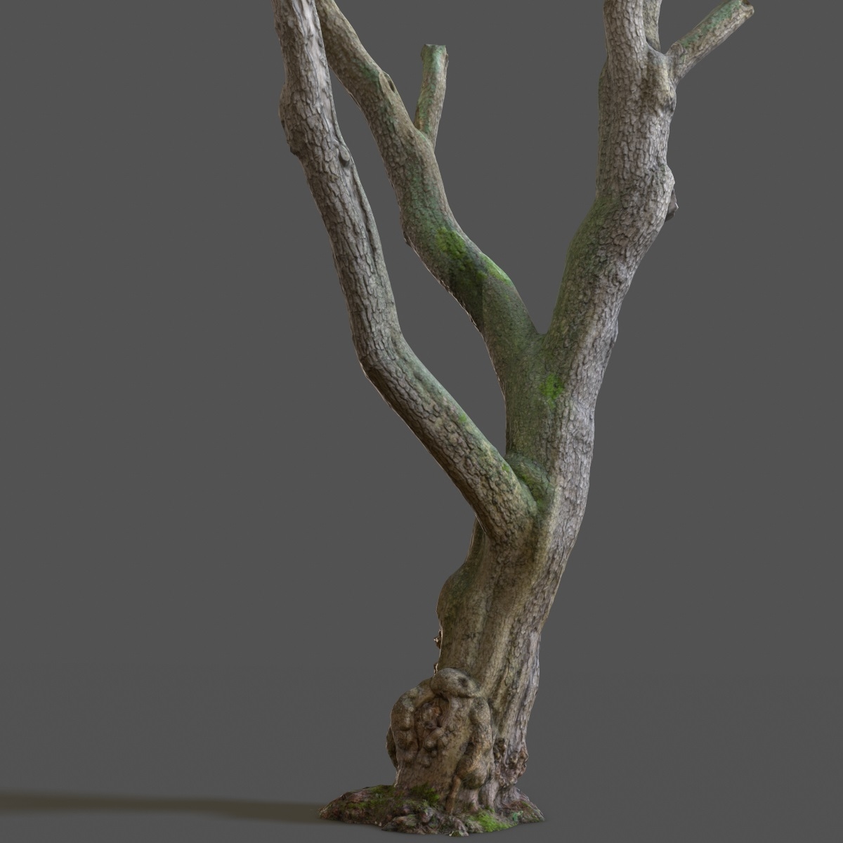 3d model 12 tree