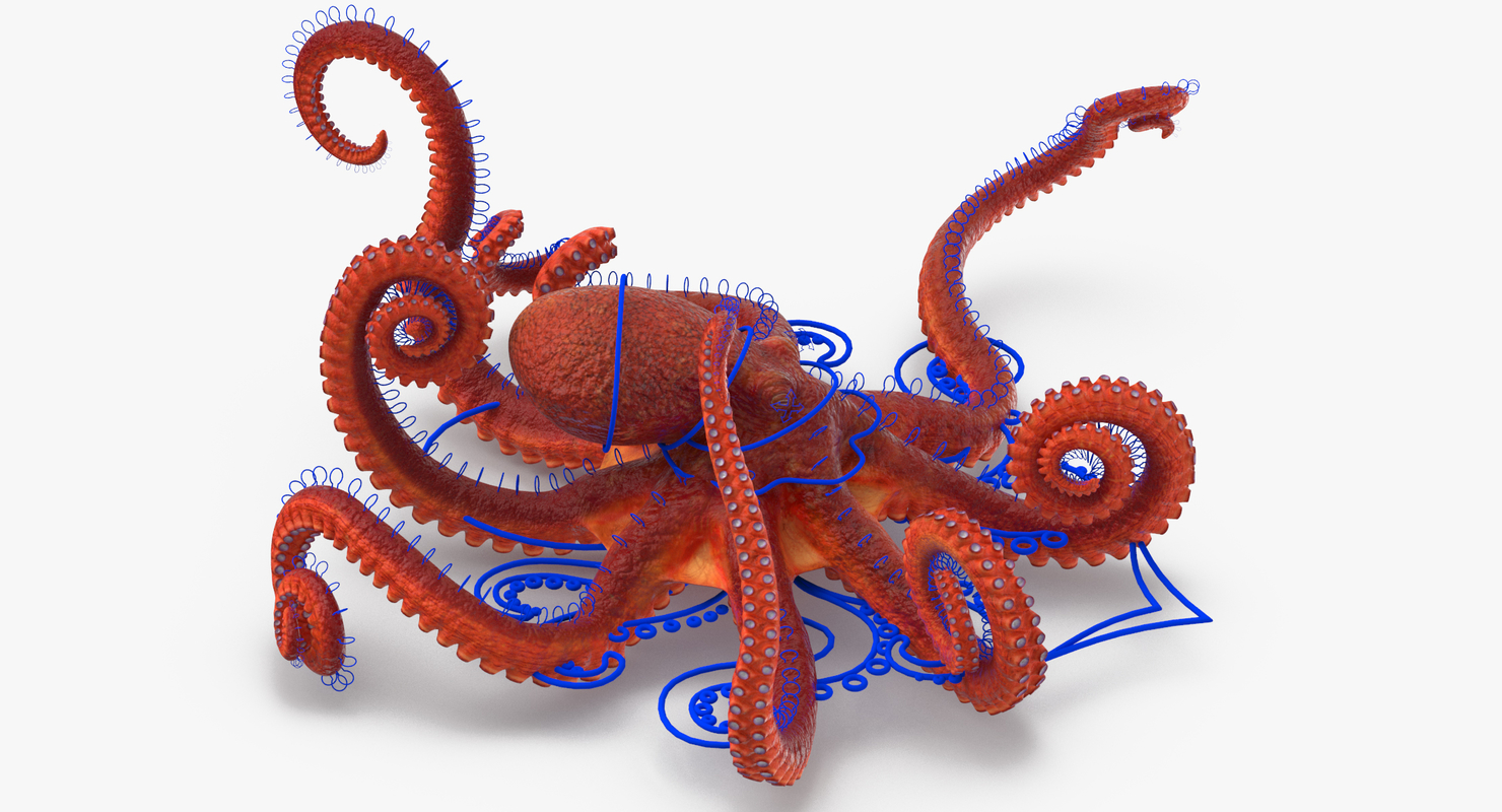octopus rigged max