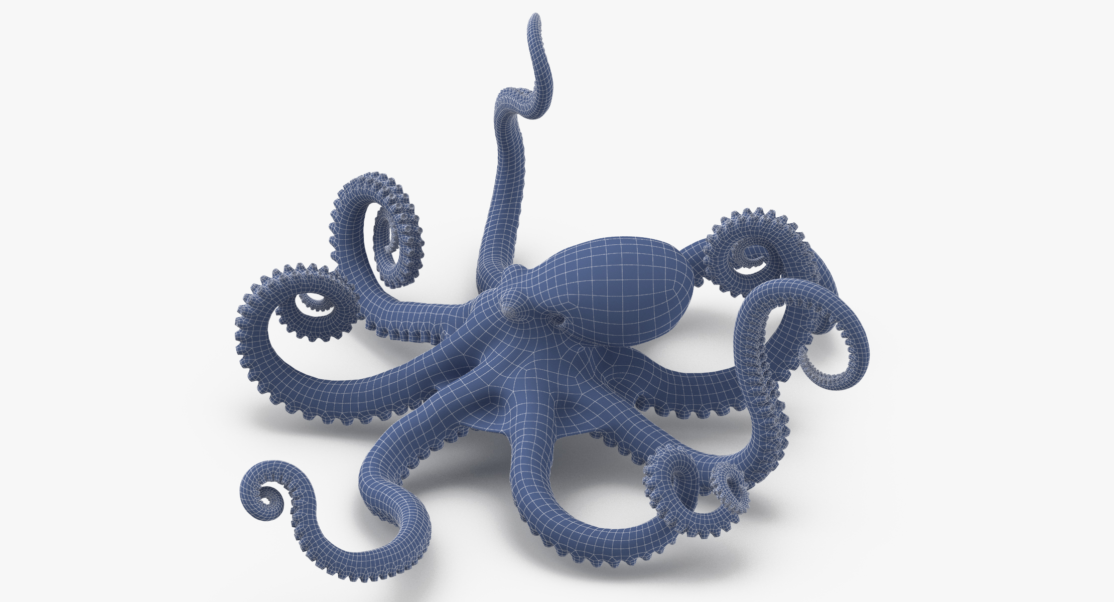 Octopus fx