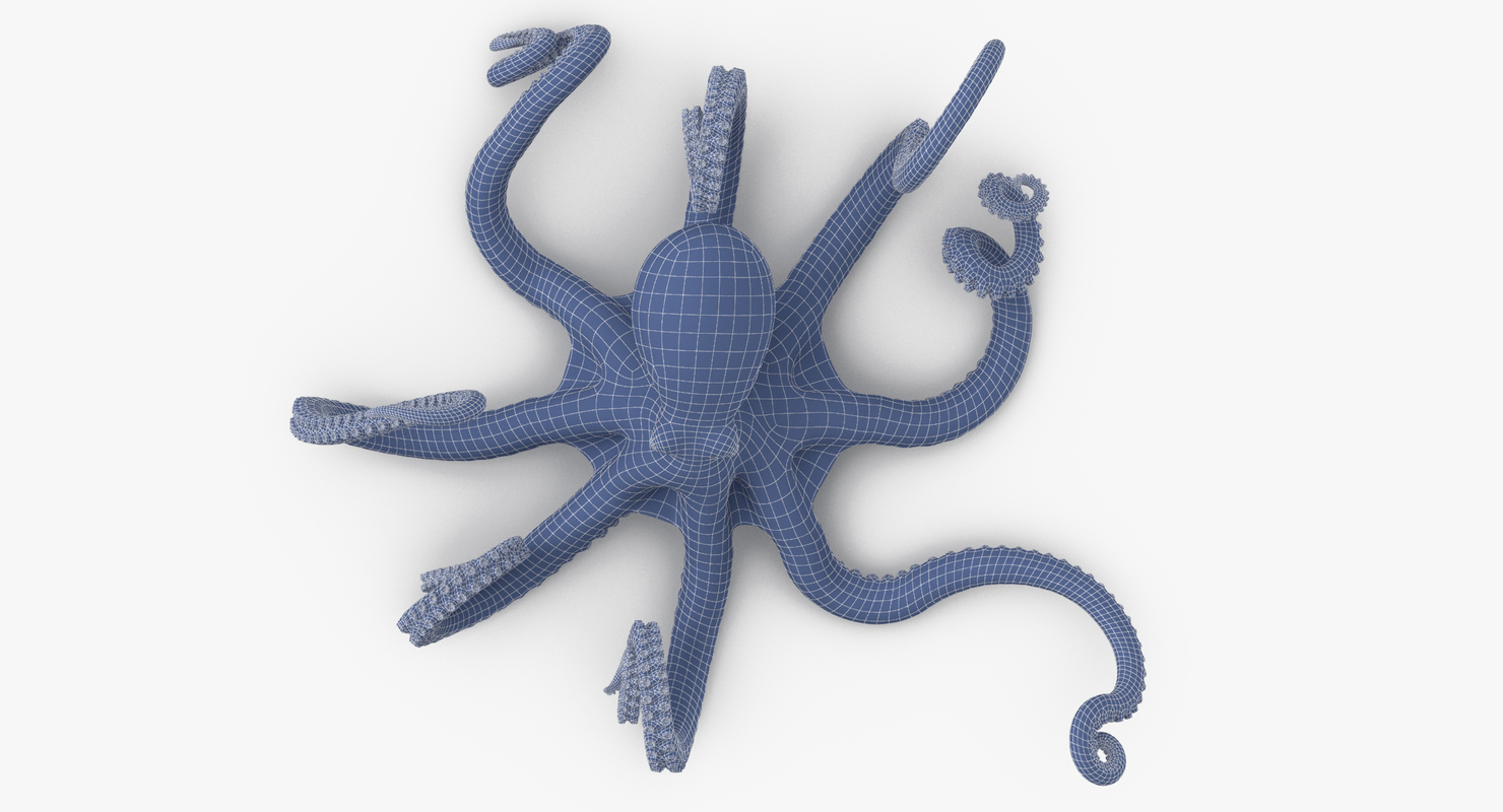 Octopus fx opiniones
